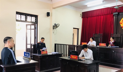 Các phiên tòa rút kinh nghiệm trong tháng 11/2020 của Viện KSND các...